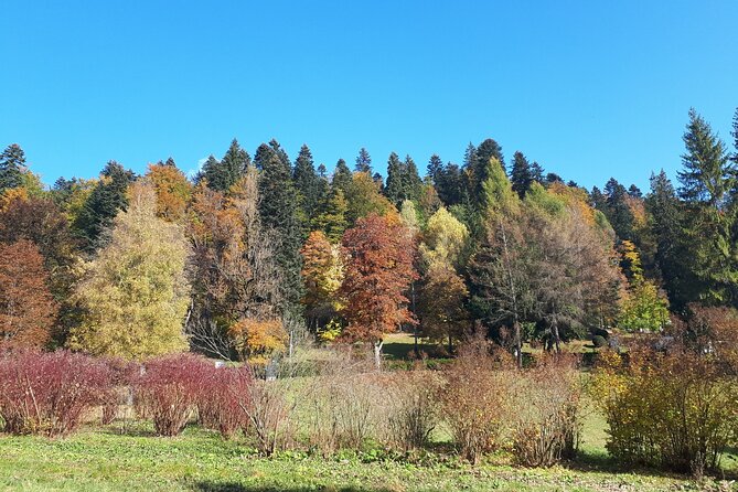 Peles Castle and optional Cantacuzino Castle from Brasov - A private vehicle makes the long day easier