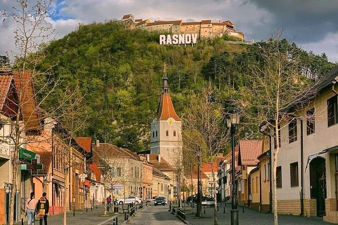 Peles Castle, Bran Castle, Rasnov Fortress and Sinaia Monastery Tour from Brasov - Guides, vehicles, and the pace of the day