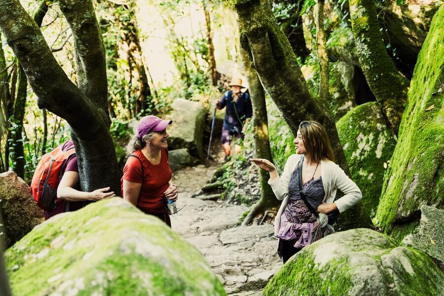 Pena Palace, Moorish Castle,Quinta ad Regaleira:Walking tour - Down the Vila Sassetti Trail
