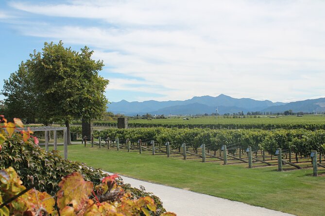 Picton & Blenheim Scenic Tour - Lunch at The Vines Village Is Yours to Choose