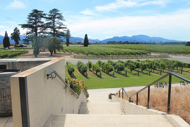 Picton & Blenheim Scenic Tour - Four Wines at a Marlborough Winery