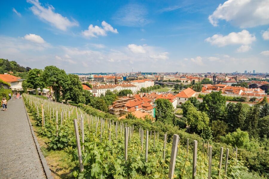 Prague Castle 2.5-Hour Tour Including Admission Ticket - Charles Bridge gives the tour a strong beginning
