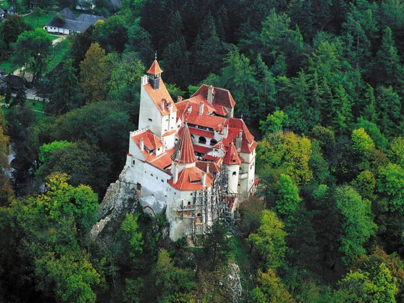 Premium Tour Bran & Peles Castle from Bucharest - Key points to know before booking