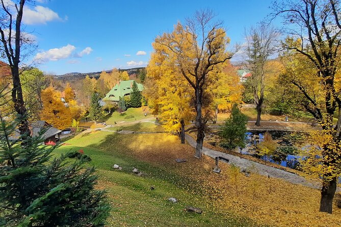 Private Day Tour in Transylvania, Peles and Bran Castles from Brasov - The guides make the biggest difference
