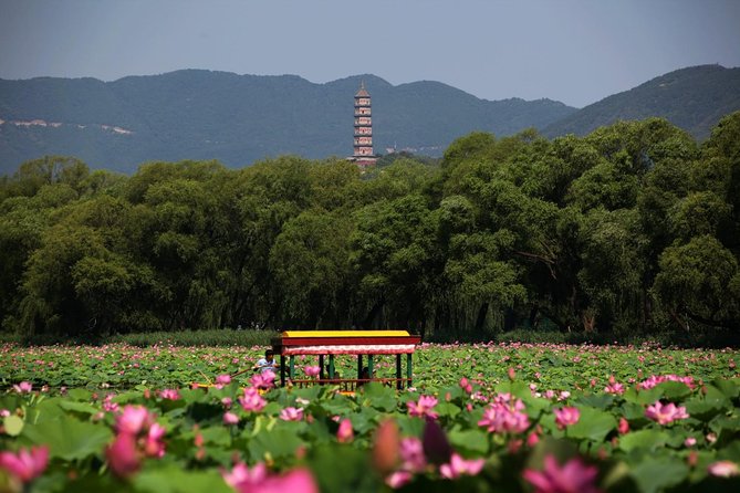 Private Day Tour: Summer Palace and Old Summer Palace in Beijing - Walking the Long Corridor beside Kunming Lake