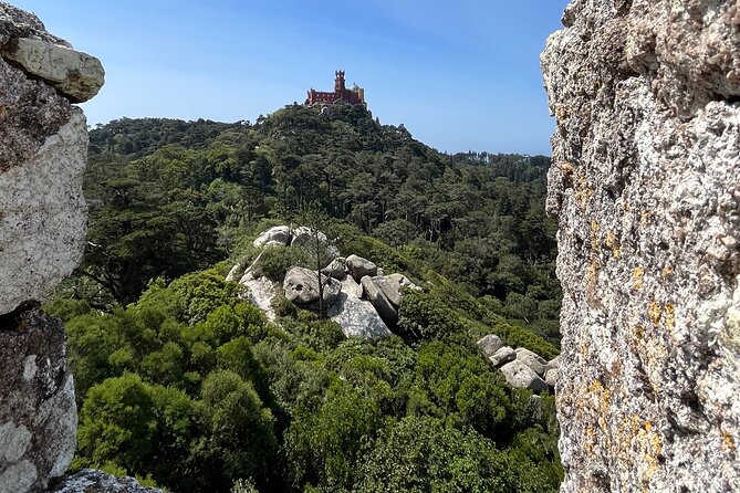 Private Half-Day: The Majestic Pena Palace & Sintra - Timing, languages, and cancellation