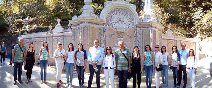 Private Half Day tour Sintra Pena Palace & Initiantion Well - Who Should Book This Sintra Tour?