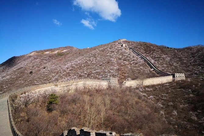 Private Layover Tour to Mutianyu Great Wall and Forbidden City - What $208 buys you