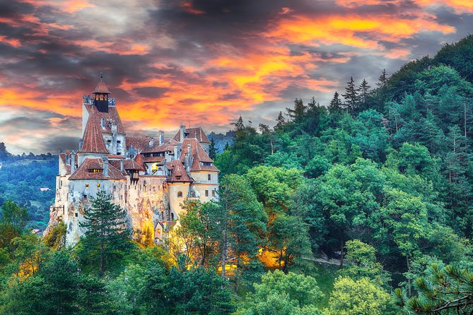 Private Movie Castles at Peles, Cantacuzino and Bran Castle Tour - Peles Castle and the royal setting