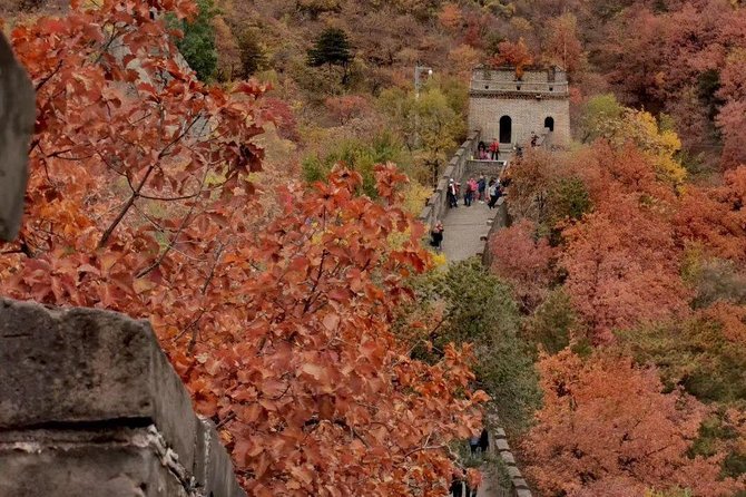 Private Tour: Forbidden City and Mutianyu Great Wall with Cable Car or Toboggan - Walking the Forbidden City’s central axis