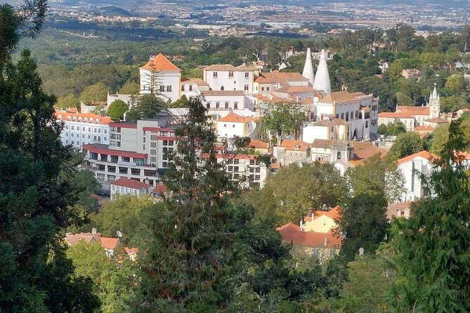 Private Tour Sintra, Palaces and Mountain Tuk Tuk(2 to 6 people) - Why a Sintra tuk-tuk makes sense
