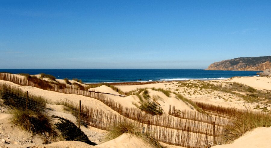 Private Tour : Sintra, Pena palace, Cabo da roca, Cascais - A private Jeep or SUV makes the day easier