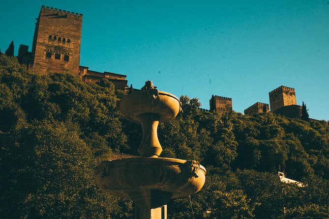 Private Tour to The Alhambra with Nasrid Palaces in Granada - Generalife gardens and the open-air portions