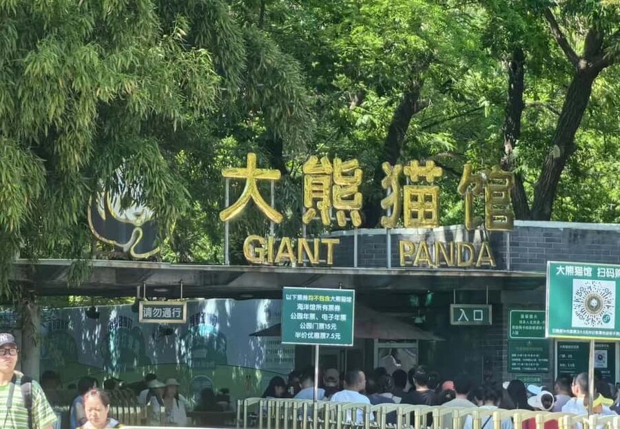 Private Trip to Great Wall+Summer Palace with English Driver - What the private vehicle adds