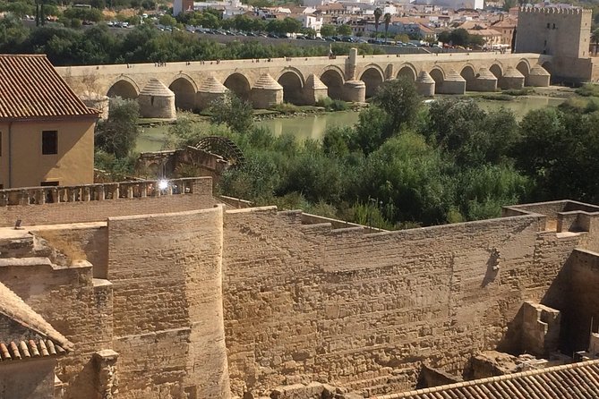 Private Visit Mosque-Cathedral, Jewish quarter, Alcazar and Synagogue - Who will enjoy this Córdoba tour most?