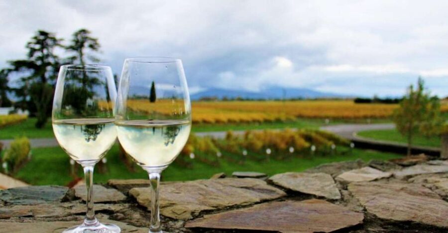 Progressive Wine & Gourmet Trail from Blenheim or Picton - Key points at a glance