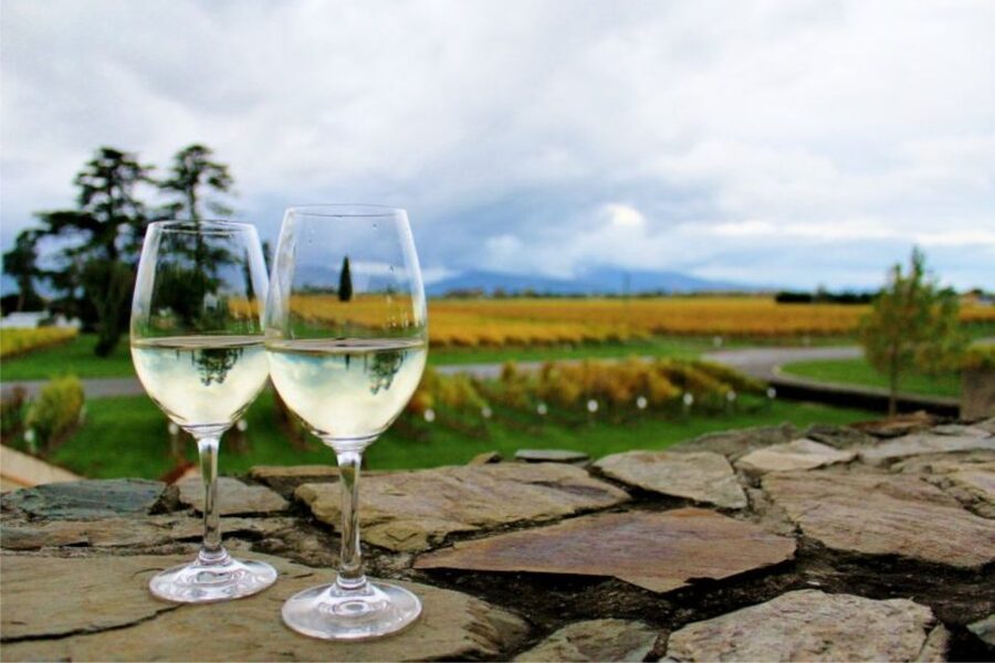 Progressive Wine & Gourmet Trail from Blenheim or Picton - The first glass sets the pace