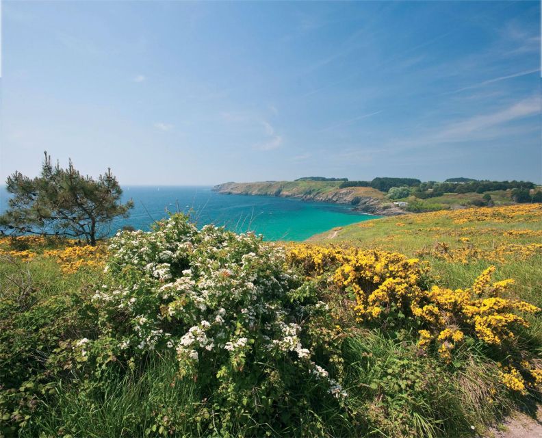 Quiberon: Ferry tickets from/to Belle-Île-en-Mer, Le Palais - Key points to know before you go