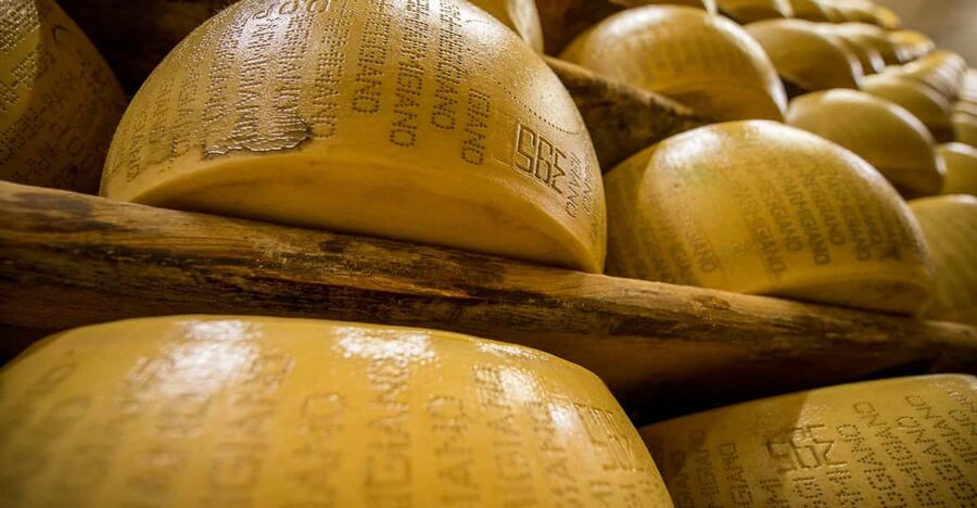 Reggio Emilia: Parmigiano Reggiano & Balsamic Vinegar Tour - Following milk through the Parmigiano Reggiano dairy