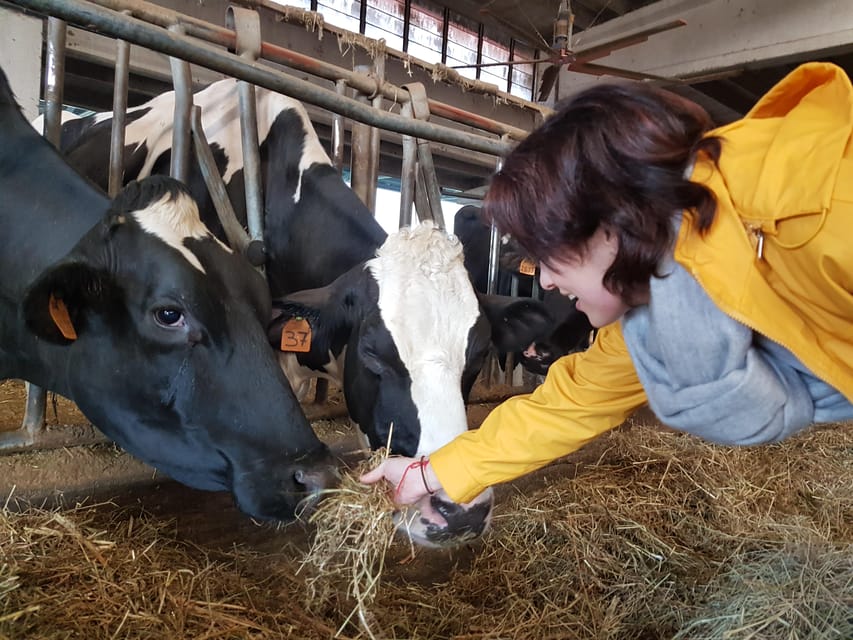 Reggio Emilia: Parmigiano Reggiano & Balsamic Vinegar Tour - Who should book this six-hour outing