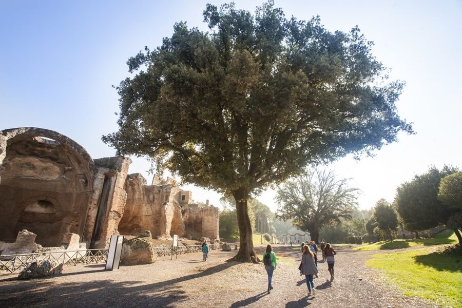 Rome: Hadrian's Villa and Villa d'Este Half-Day Tour - Key points to know before booking