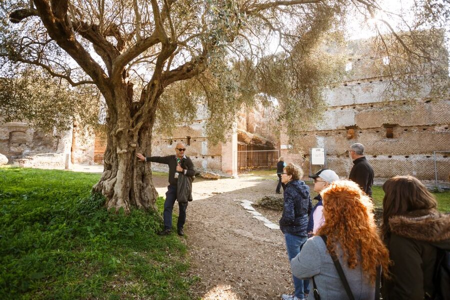 Rome: Hadrian's Villa and Villa d'Este Half-Day Tour - Walking through Hadrian’s Villa