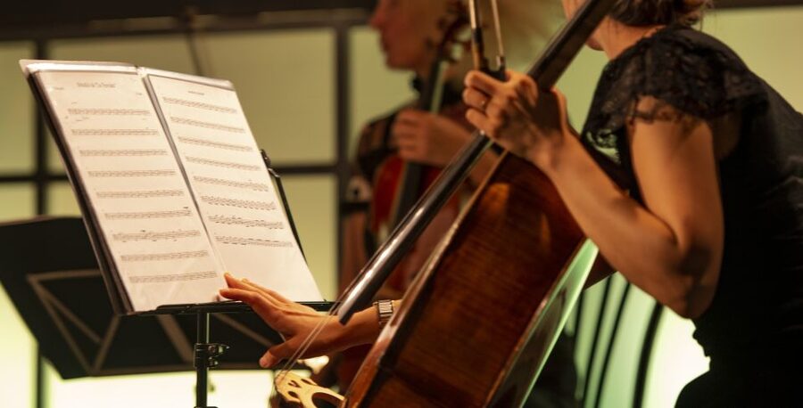 Rome: Opera Concert at Palazzo Poli - Fontana di Trevi - The practical details that matter