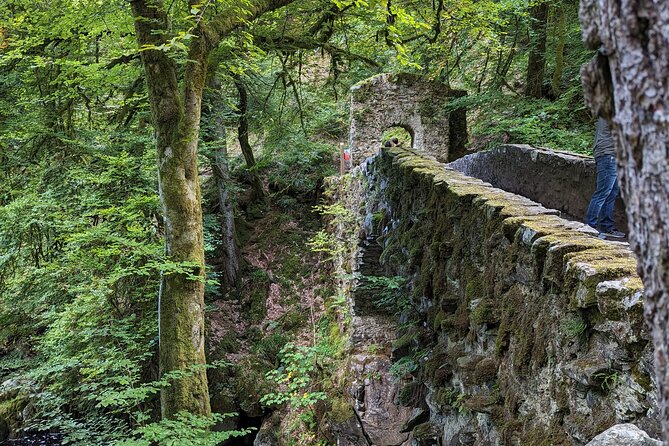 Scone Palace, Nature, Pitlochry, Whisky Experience from Glasgow - Why this Glasgow day trip works