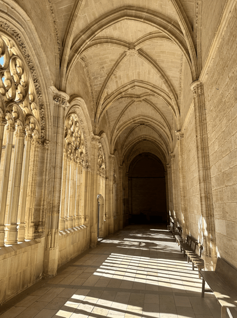 Segovia: private tour with Alcazar, Cathedral and wine tasting - A 75-minute tasting of local wines