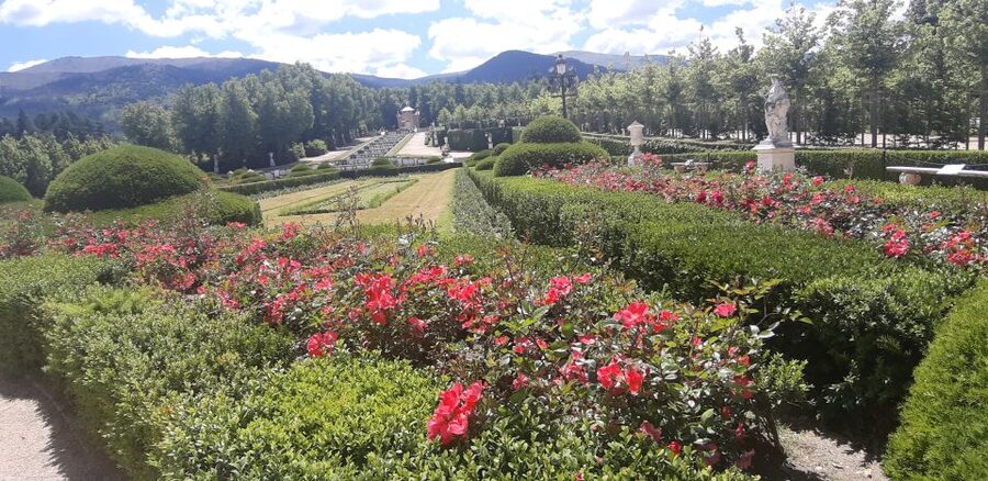 Segovia: Royal Palace of La Granja de San Ildefonso Tour - Who will enjoy this tour most?