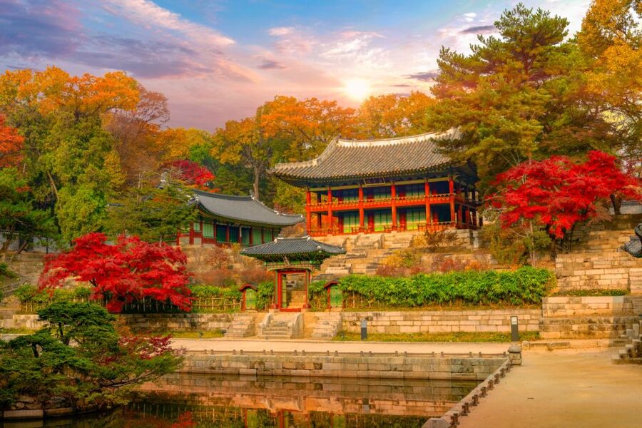Seoul: Gyeongbok Palace and Bukchon Hanok Walking Tour - Bukchon Hanok Village and Samcheongdong Alley