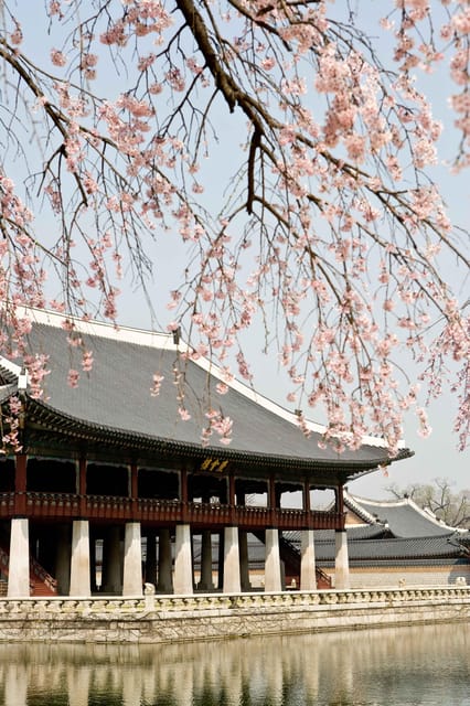 Seoul: Gyeongbokgung Palace Tour & Lunch at Authentic Market - Who Will Get the Most from This Tour