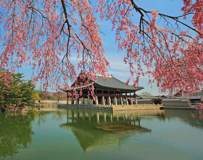 Seoul Highlights: Gyeongbok Palace, Insadong & N Seoul Tower - Key points to know before booking