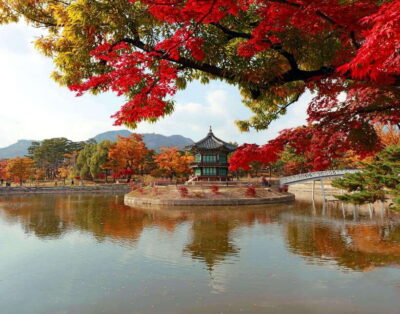 Seoul Highlights: Gyeongbok Palace, Insadong & N Seoul Tower
