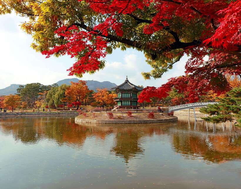 Seoul Highlights: Gyeongbok Palace, Insadong & N Seoul Tower - Jogyesa Temple and the quiet start