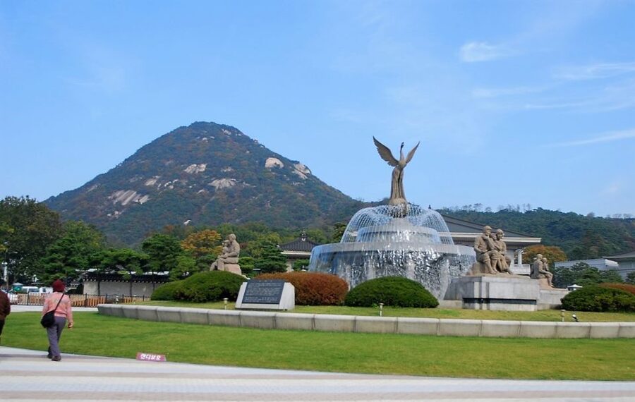 Seoul: Royal Palace Morning Tour including Cheongwadae - Catching the royal guard changing ceremony