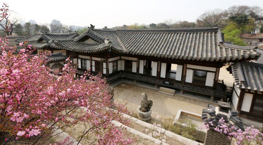 Seoul: UNESCO Sites tour: Palace, Shrine & Bukchon Village - What the guide adds to the day