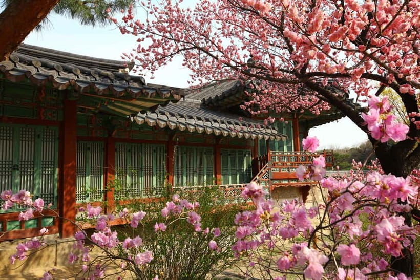 Seoul: Vegan Temple Food Class, Jogyesa & Changdeokgung Tour - Herbs, ginseng, and Korean traditional medicine