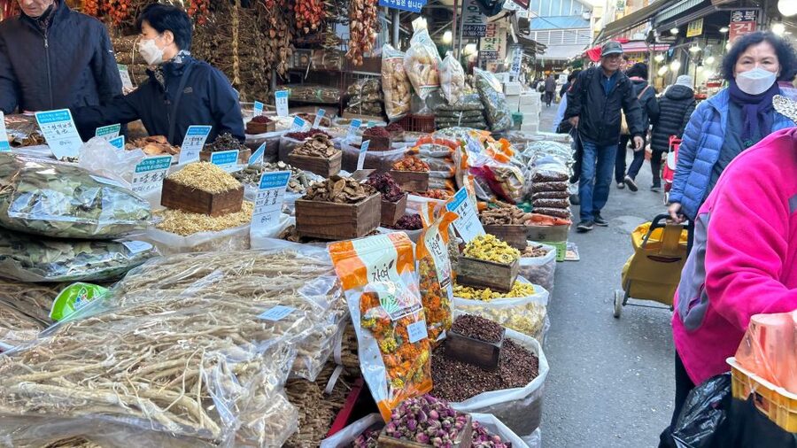 Seoul: Vegan Temple Food Class, Jogyesa & Changdeokgung Tour - Who will enjoy this Seoul experience