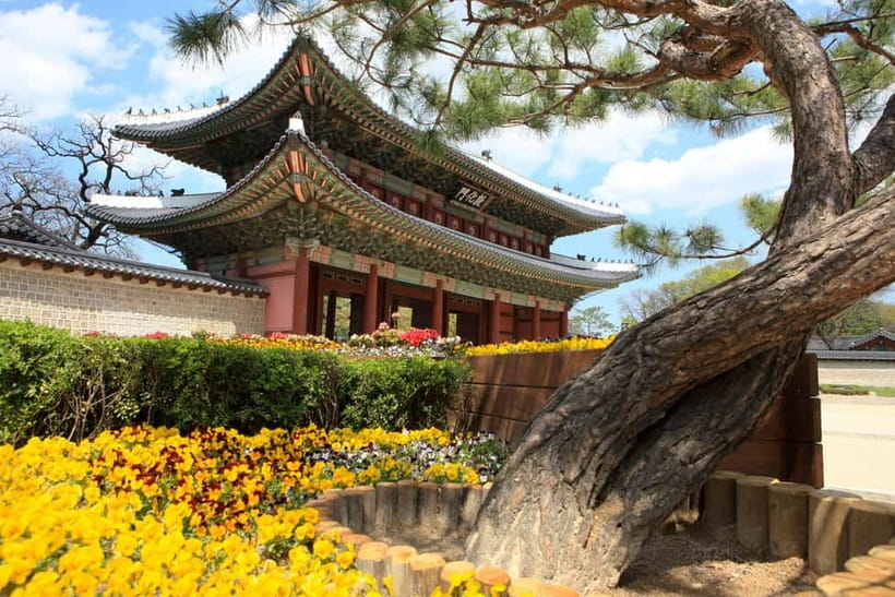 Seoul: Vegan Temple Food Class, Jogyesa & Changdeokgung Tour - Should you book this tour?