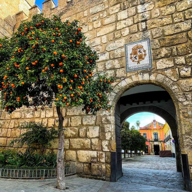 Seville: Alcazar, Cathedral, and Giralda Skip-the-Line Tour - The Alcazar: Seville’s royal palace and Dorne on screen
