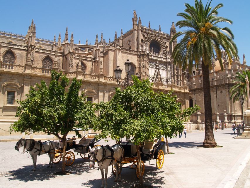 Seville: Cathedral, Giralda and Alcázar Guided Tour - Should you book it?