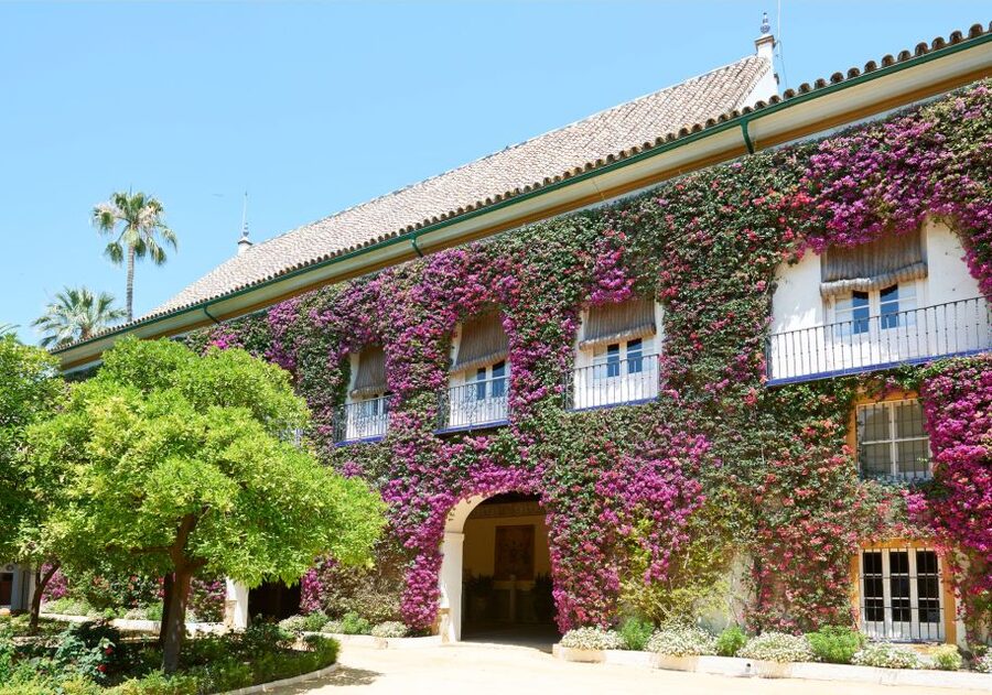 Seville: Palacio de Las Dueñas Entry Ticket and Guided Tour - Who will enjoy this palace most?