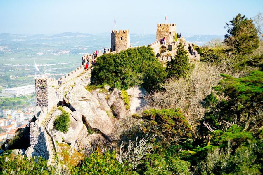 Sintra: Full-Day Private Tour & Pena Palace Entry Option - Who should book this Sintra tour