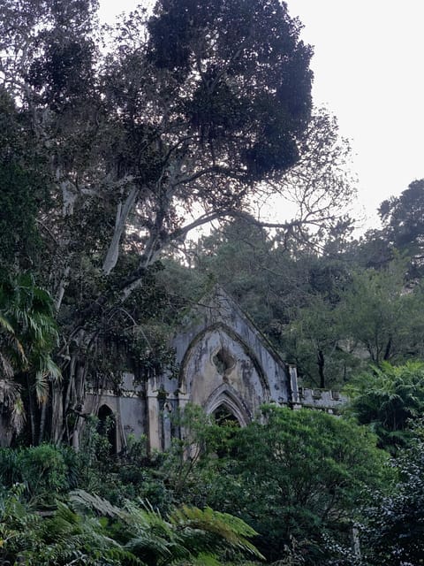 Sintra Highlights: Private Local Tour - Palaces & Views - Pena Palace and the Sintra mountain