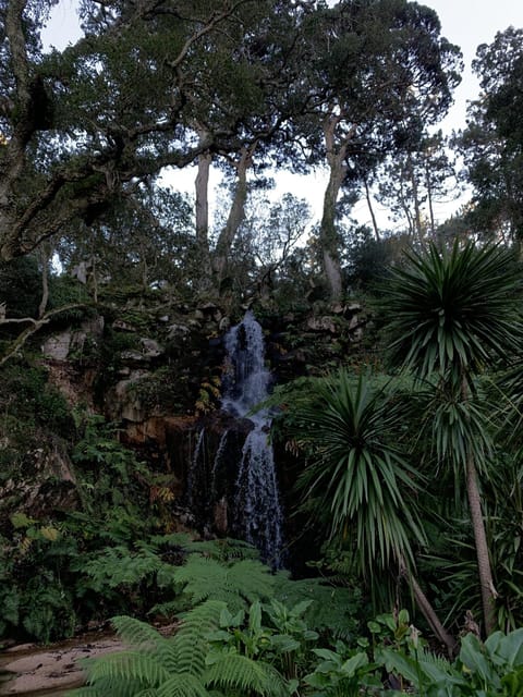 Sintra Highlights: Private Local Tour - Palaces & Views - Lunch with an Atlantic view