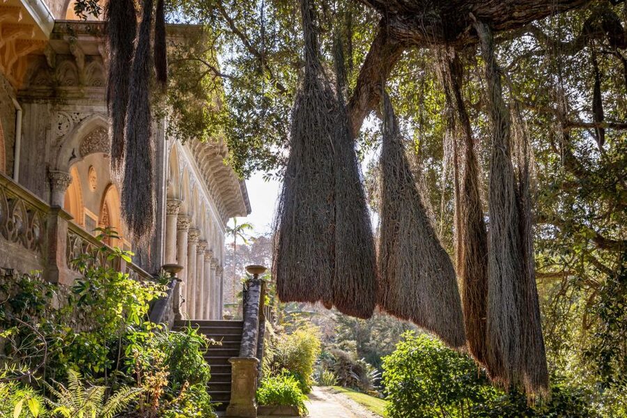 Sintra: Monserrate Palace & Park Ticket - Entering the palace and using the fast-track ticket