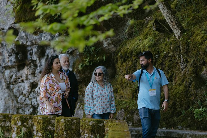Sintra, Pena Palace and Quinta da Regaleira from Lisbon - What the guides add to the day