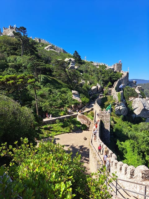 Sintra:Pena Palace,Moorish Castle & Q-Regaleira Private Tour - What the guide adds to the day