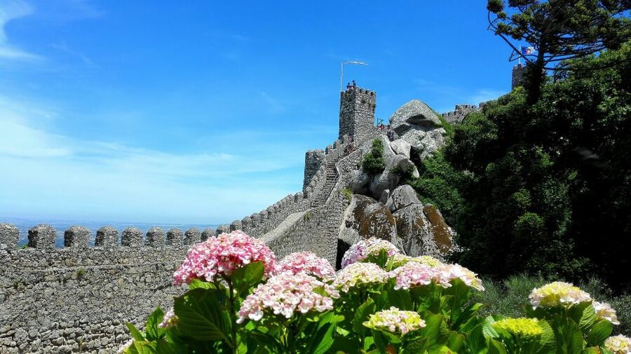 Sintra: Truly Private Tour to Pena Palace & Regaleira - Should you book the Pena Palace and Regaleira tour?